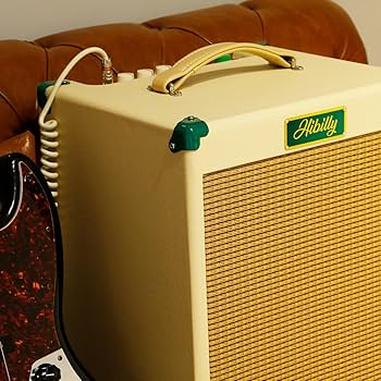 Amazon.com: 30 Watt Bass Amplifier Retro Bass 30- Compact